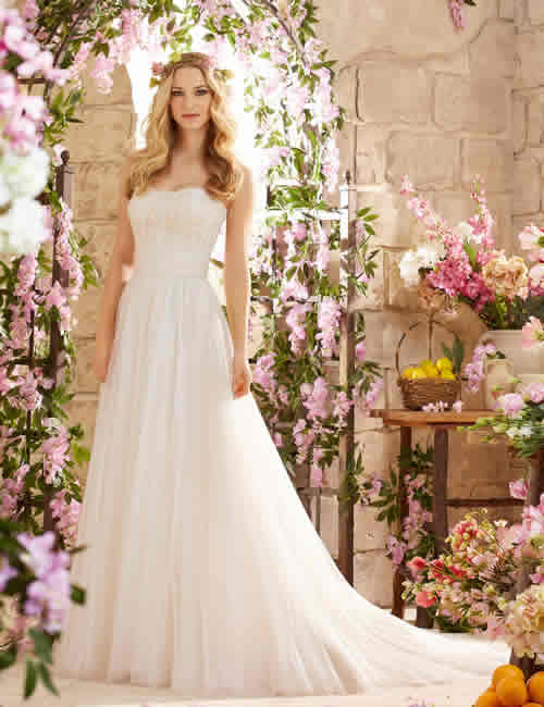 Dreams 2025 bridal wear