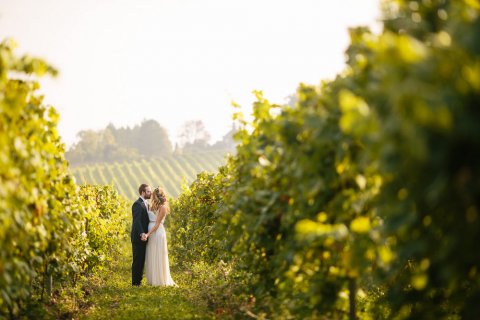 Wedding Reception Venues - Denbies Wine Estate -Image 10758