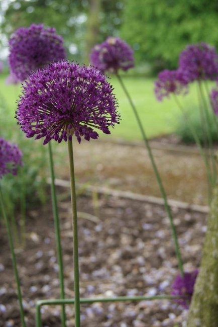 Splendid Grounds - Stapeley House Weddings