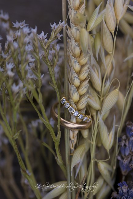 Wedding Rings among the reeds - Graham Davies Wedding Photography