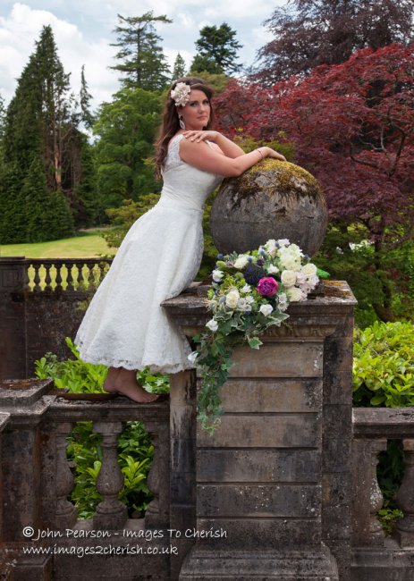 Wedding Photographers - Images To Cherish-Image 1944