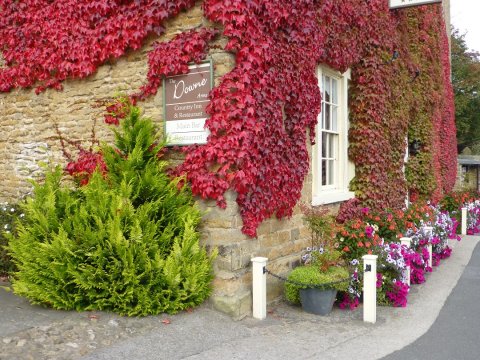 The Downe Arms in beautiful in Autumn! - Downe Arms Country Inn